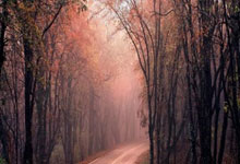 金道勋与韩振：携手共筑友谊的璀璨瞬间