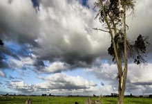 金道勋与韩振：携手共筑友谊的璀璨瞬间