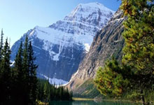 偶遇金钟大温馨送子入园，尽显慈父形象