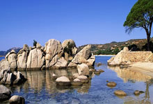 余宇涵坐高铁不会刷身份证